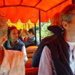 4MP859 Digital Camera