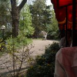 4MP859 Digital Camera