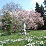 4MP859 Digital Camera